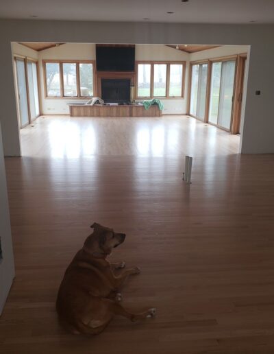 A dog is laying on the floor of an empty living room.